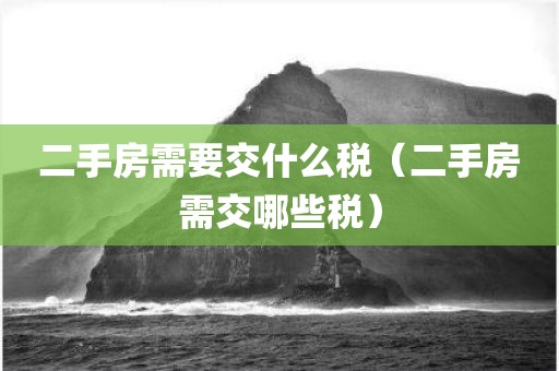 二手房需要交什么税（二手房需交哪些税）