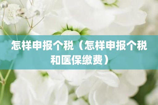 怎样申报个税（怎样申报个税和医保缴费）