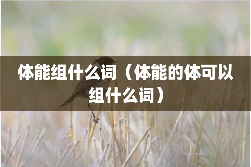 体能组什么词（体能的体可以组什么词）
