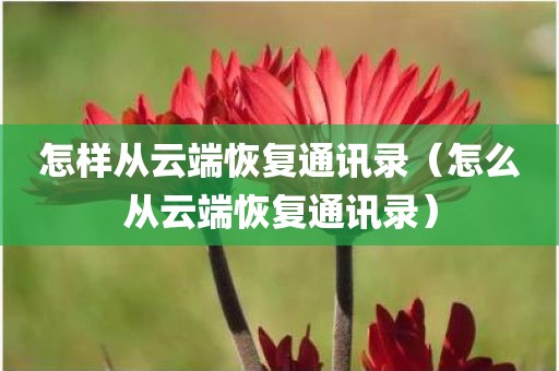 怎样从云端恢复通讯录（怎么从云端恢复通讯录）