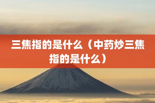 三焦指的是什么（中药炒三焦指的是什么）
