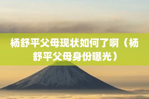 杨舒平父母现状如何了啊（杨舒平父母身份曝光）
