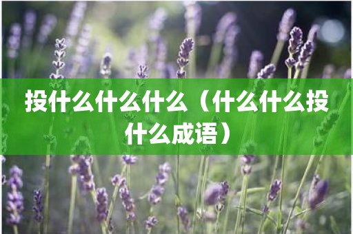投什么什么什么（什么什么投什么成语）