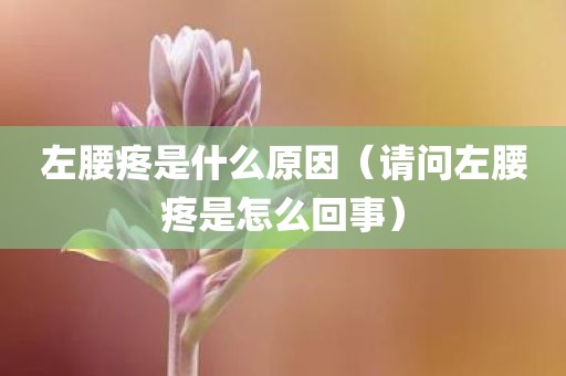 左腰疼是什么原因（请问左腰疼是怎么回事）