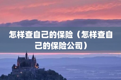 怎样查自己的保险（怎样查自己的保险公司）