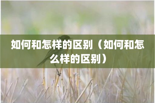 如何和怎样的区别（如何和怎么样的区别）