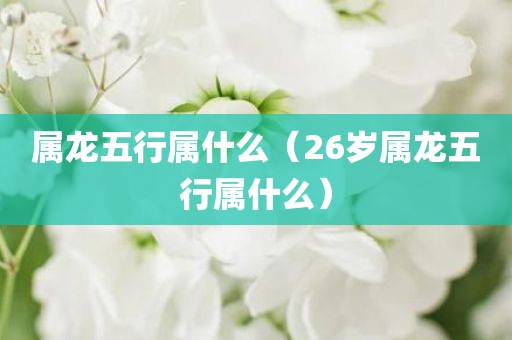 属龙五行属什么（26岁属龙五行属什么）