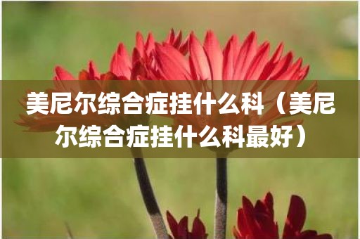 美尼尔综合症挂什么科（美尼尔综合症挂什么科最好）