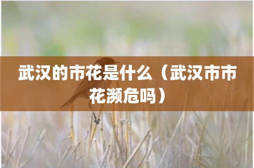 武汉的市花是什么（武汉市市花濒危吗）
