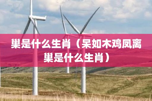 巢是什么生肖（呆如木鸡凤离巢是什么生肖）