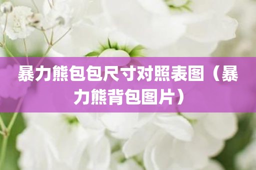 暴力熊包包尺寸对照表图（暴力熊背包图片）
