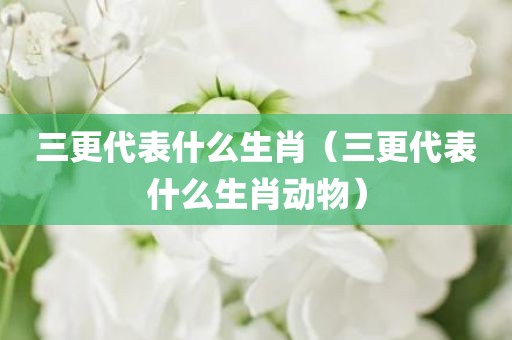 三更代表什么生肖（三更代表什么生肖动物）