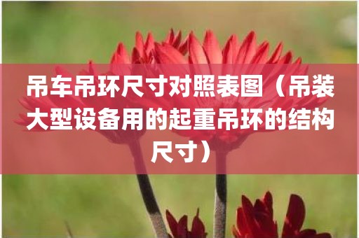 吊车吊环尺寸对照表图（吊装大型设备用的起重吊环的结构尺寸）