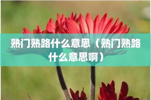 熟门熟路什么意思（熟门熟路什么意思啊）