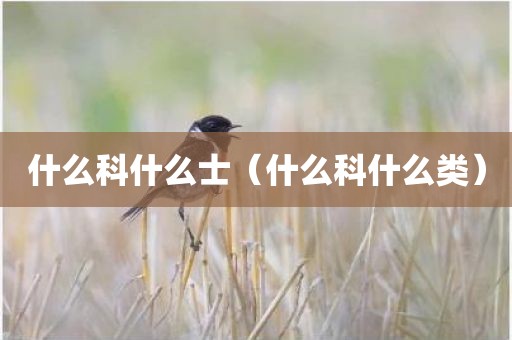 什么科什么士（什么科什么类）