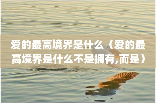 爱的最高境界是什么(爱的最高境界是什么不是拥有,而是)