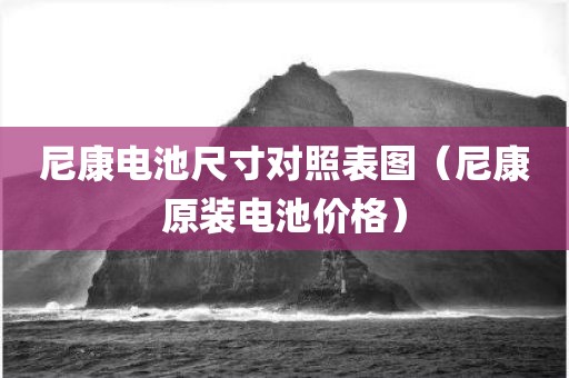 尼康电池尺寸对照表图（尼康原装电池价格）