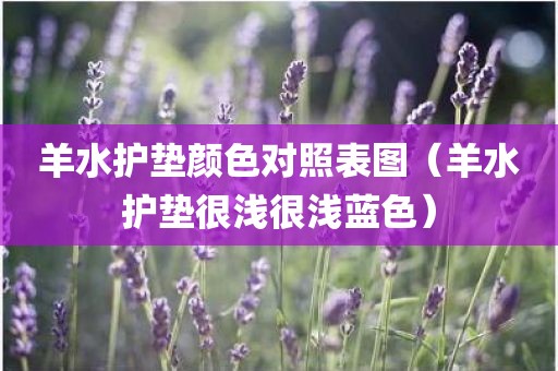 羊水护垫颜色对照表图（羊水护垫很浅很浅蓝色）