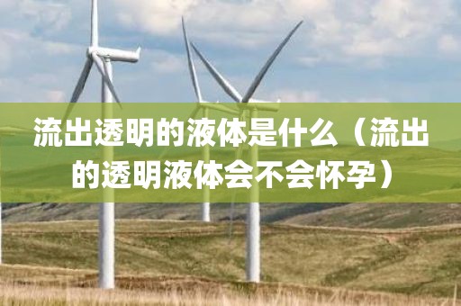 流出透明的液体是什么（流出的透明液体会不会怀孕）