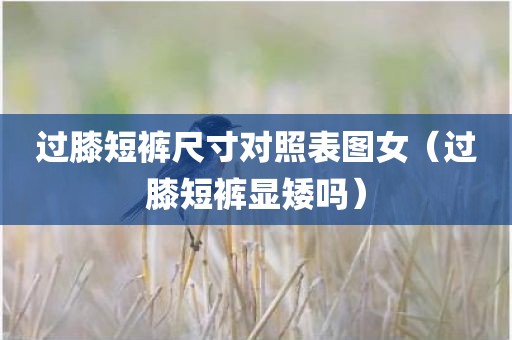 过膝短裤尺寸对照表图女（过膝短裤显矮吗）
