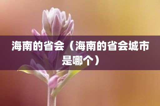 海南的省会（海南的省会城市是哪个）