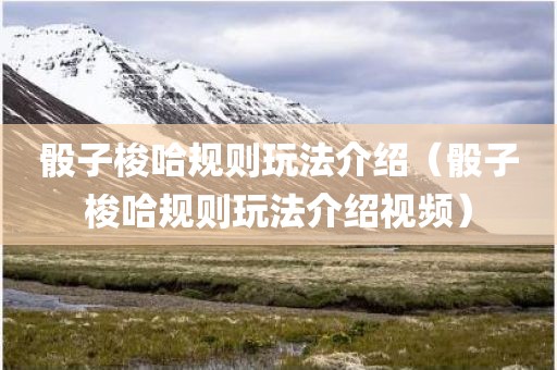 骰子梭哈规则玩法介绍（骰子梭哈规则玩法介绍视频）