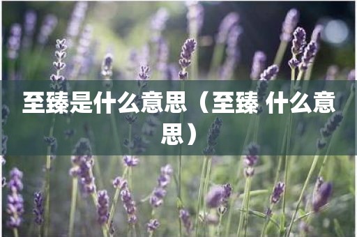 至臻是什么意思(至臻 什么意思)