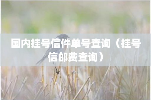 国内挂号信件单号查询（挂号信邮费查询）