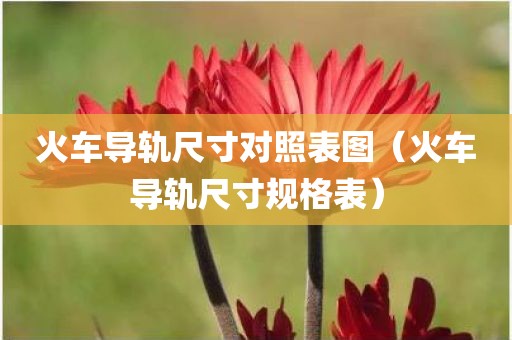 火车导轨尺寸对照表图（火车导轨尺寸规格表）