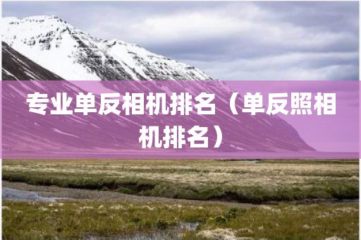专业单反相机排名（单反照相机排名）