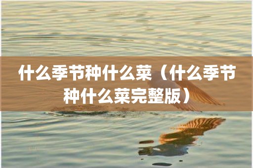 什么季节种什么菜（什么季节种什么菜完整版）