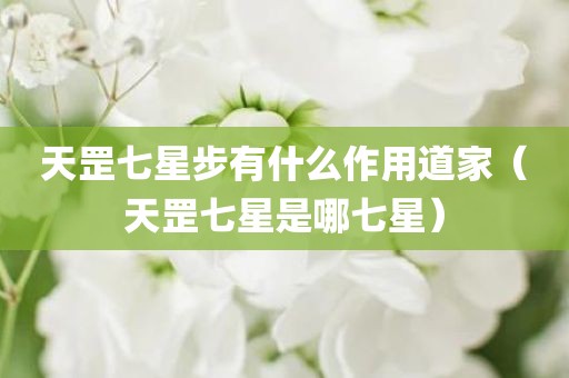 天罡七星步有什么作用道家（天罡七星是哪七星）