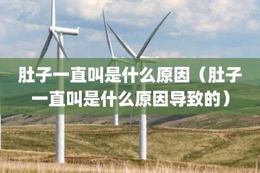 肚子一直叫是什么原因（肚子一直叫是什么原因导致的）