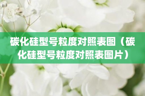 碳化硅型号粒度对照表图（碳化硅型号粒度对照表图片）
