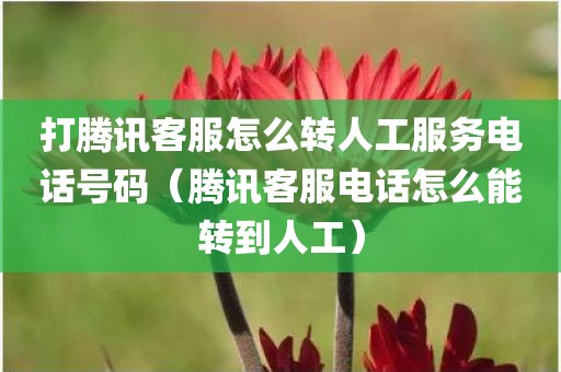 打腾讯客服怎么转人工服务电话号码（腾讯客服电话怎么能转到人工）