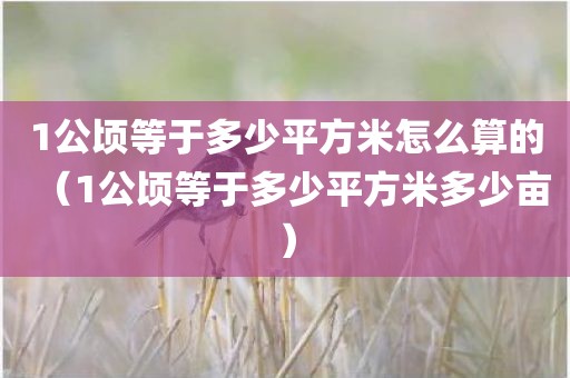 1公顷等于多少平方米怎么算的（1公顷等于多少平方米多少亩）