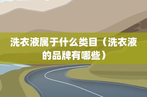 洗衣液属于什么类目(洗衣液的品牌有哪些)