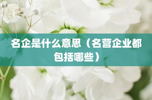 名企是什么意思（名营企业都包括哪些）