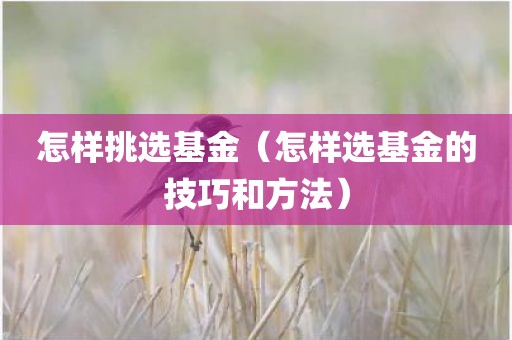 怎样挑选基金（怎样选基金的技巧和方法）