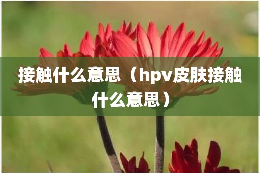 接触什么意思（hpv皮肤接触什么意思）