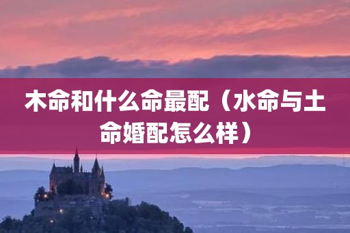 木命和什么命最配(水命与土命婚配怎么样)