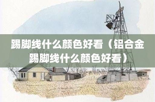 踢脚线什么颜色好看（铝合金踢脚线什么颜色好看）