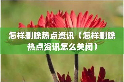 怎样删除热点资讯（怎样删除热点资讯怎么关闭）