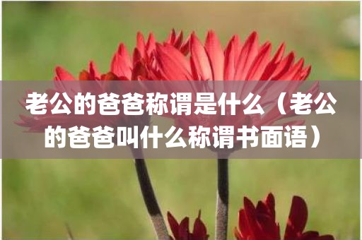 老公的爸爸称谓是什么（老公的爸爸叫什么称谓书面语）