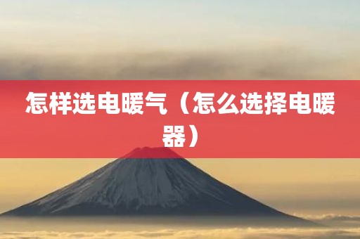 怎样选电暖气（怎么选择电暖器）