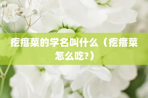 疙瘩菜的学名叫什么（疙瘩菜怎么吃?）