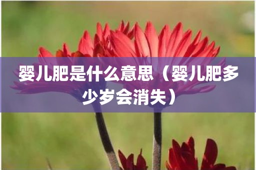 婴儿肥是什么意思（婴儿肥多少岁会消失）