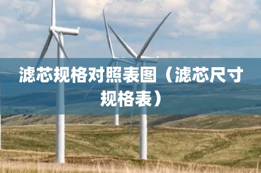 滤芯规格对照表图（滤芯尺寸规格表）