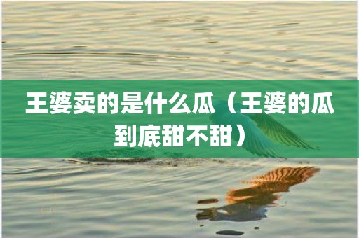 王婆卖的是什么瓜（王婆的瓜到底甜不甜）