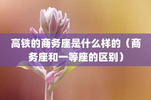 高铁的商务座是什么样的（商务座和一等座的区别）